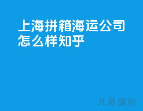 上海拼箱海运公司怎么样知乎