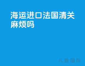 海运进口法国清关麻烦吗