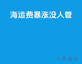 海运费暴涨没人管