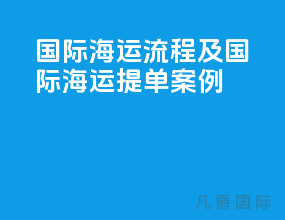 国际海运流程及国际海运提单案例
