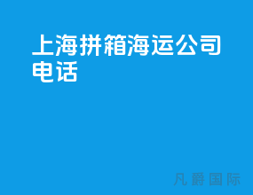 上海拼箱海运公司电话