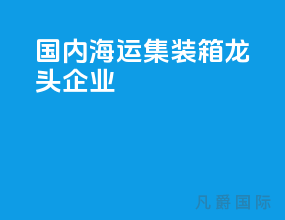 国内海运集装箱龙头企业