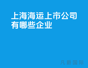 上海海运上市公司有哪些企业