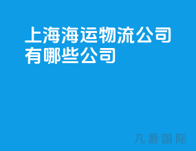 上海海运物流公司有哪些公司
