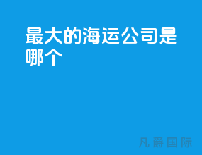 最大的海运公司是哪个