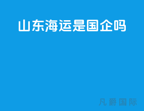 山东海运是国企吗