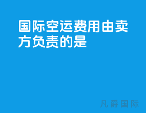 国际空运费用由卖方负责的是