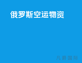 俄罗斯空运物资