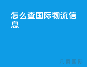 怎么查国际物流信息
