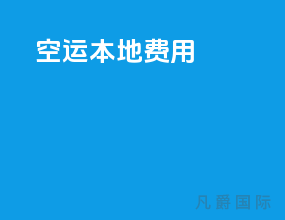 空运本地费用