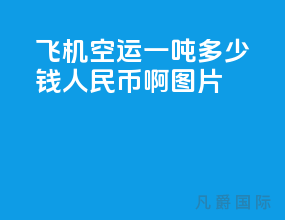 飞机空运一吨多少钱人民币啊图片