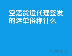 空运货运代理签发的运单俗称什么