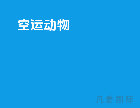 空运动物