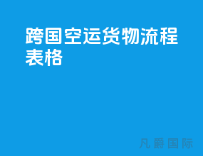 跨国空运货物流程表格