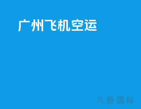 广州飞机空运