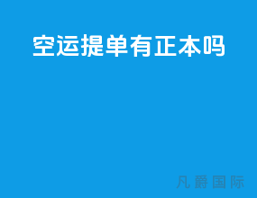 空运提单有正本吗