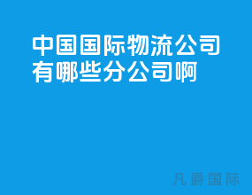 中国国际物流公司有哪些分公司啊