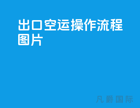 出口空运操作流程图片