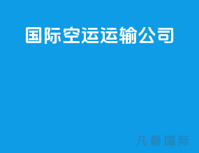 国际空运运输公司