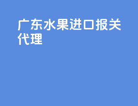 广东水果进口报关代理