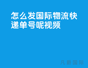 怎么发国际物流快递单号呢视频