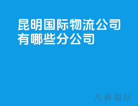 昆明国际物流公司有哪些分公司