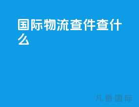 国际物流查件查什么