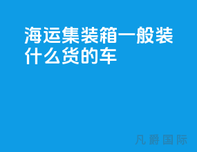海运集装箱一般装什么货的车