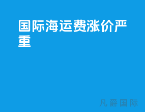 国际海运费涨价严重