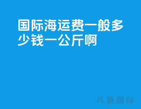 国际海运费一般多少钱一公斤啊