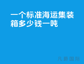 一个标准海运集装箱多少钱一吨