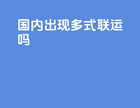 国内出现多式联运吗