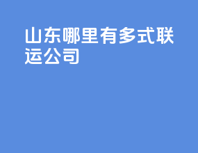 山东哪里有多式联运公司