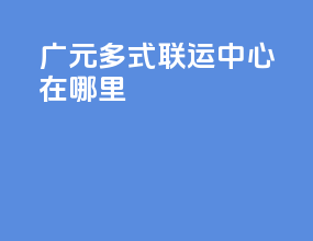广元多式联运中心在哪里