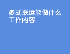 多式联运能做什么工作内容
