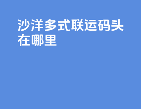 沙洋多式联运码头在哪里