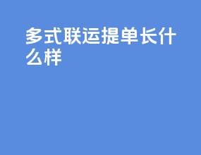 多式联运提单长什么样