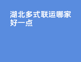 湖北多式联运哪家好一点