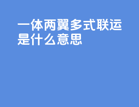 一体两翼多式联运是什么意思