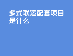 多式联运配套项目是什么