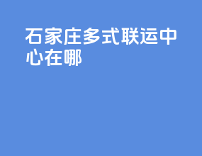 石家庄多式联运中心在哪