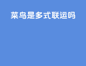 菜鸟是多式联运吗