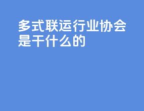 多式联运行业协会是干什么的