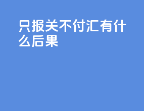 只报关不付汇有什么后果