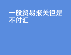 一般贸易报关但是不付汇