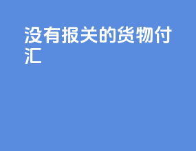没有报关的货物付汇