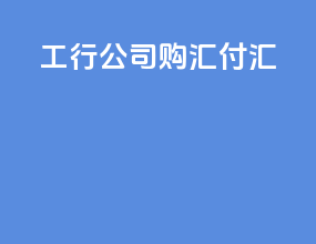 工行公司购汇付汇