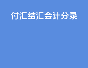付汇结汇会计分录
