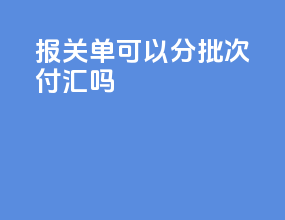 报关单可以分批次付汇吗