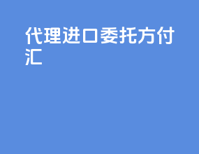代理进口 委托方付汇